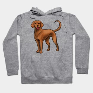 Dog - Redbone Coonhound - Red Hoodie